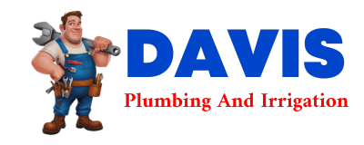 Trusted plumber in PENDER